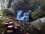 FZ023769 Sgwd y Pannwr waterfall.jpg